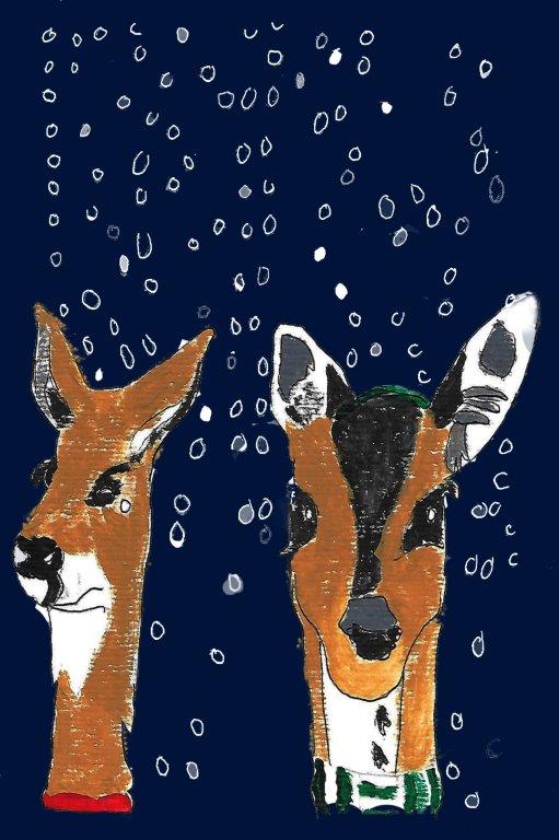 Snow Deers